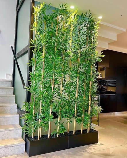 אדנית במבוק אורך 1.6 גובה כולל 2 מטר