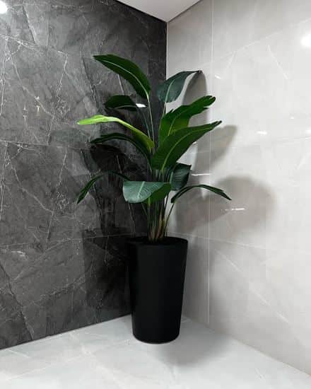 כד בטון בשילוב ציפור גן עדן גובה כולל 2 מטר