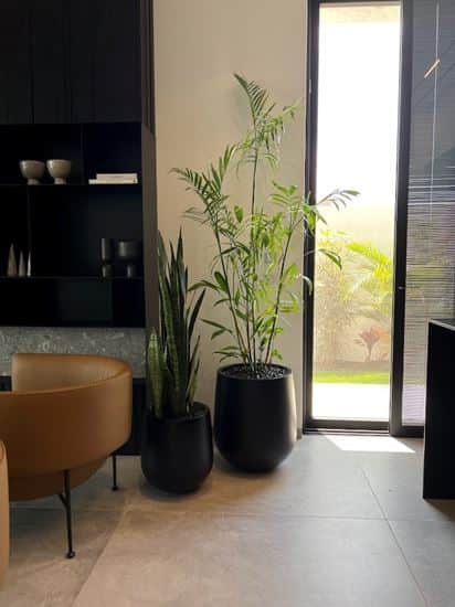 סט כדי בטון בגדלים שונים