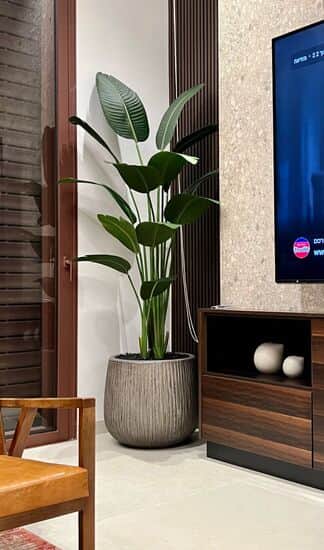 ציפור גן עדן בכד בטון גובה כולל 1.80