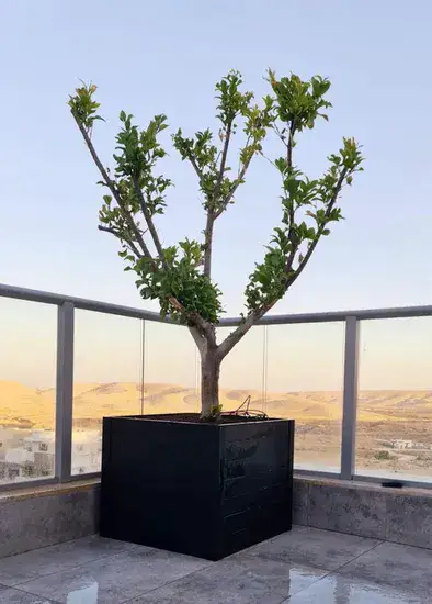 אדנית אלומיניום