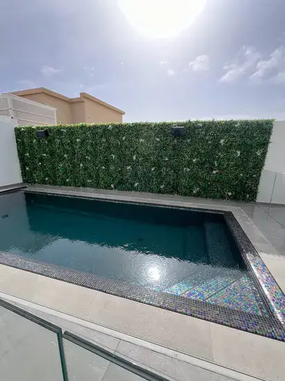 קיר ירוק לפי מטר