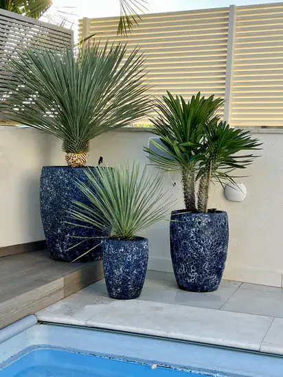 סט שלישית כדי מיקונוס