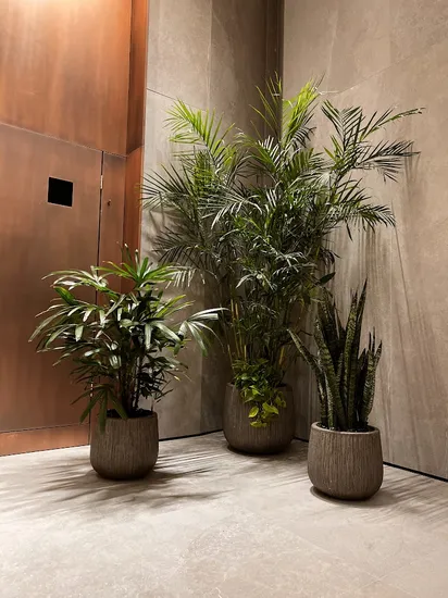 סט שלישיית כדי בטון מסורקים