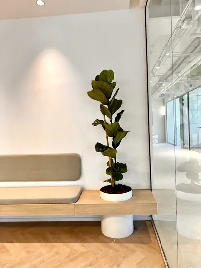 אדנית מעוגלת לפי מידה