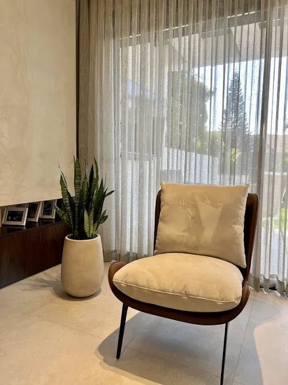 סנסיווריה בכד בטון