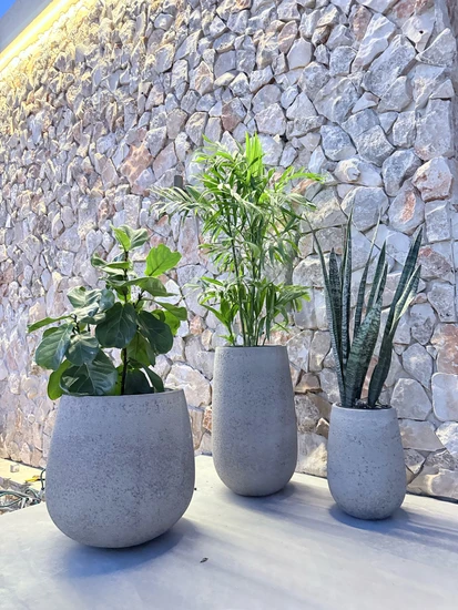 סט כדי בטון עם צמחייה מגוונת לבחירה