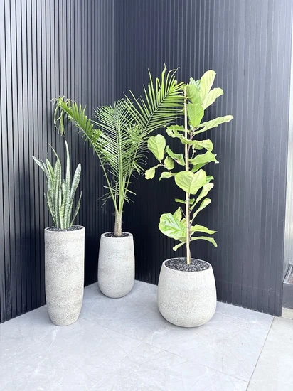 סט שלישיית כדי בטון