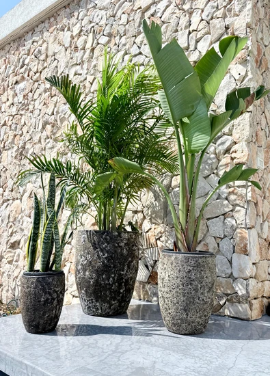 סט כדי מיקונוס בעבודת יד בגוון שחור