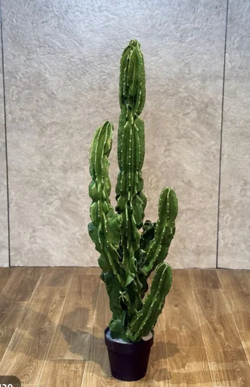קקטוס מלאכותי בגובה 1.30